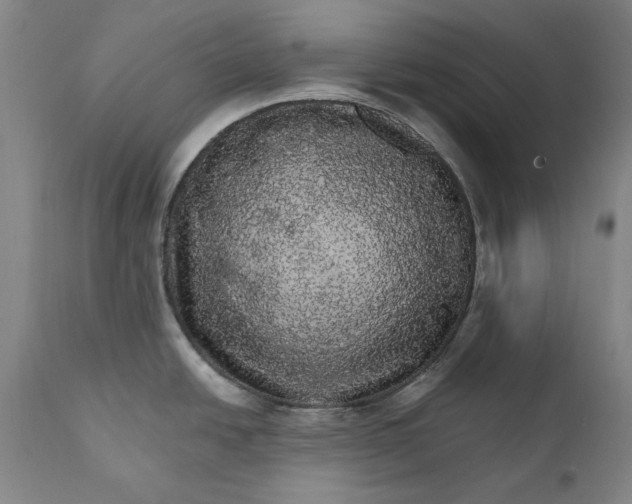 X0000111581438200908061314