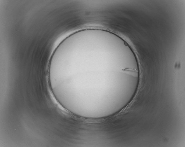 X0000111581440200908061314