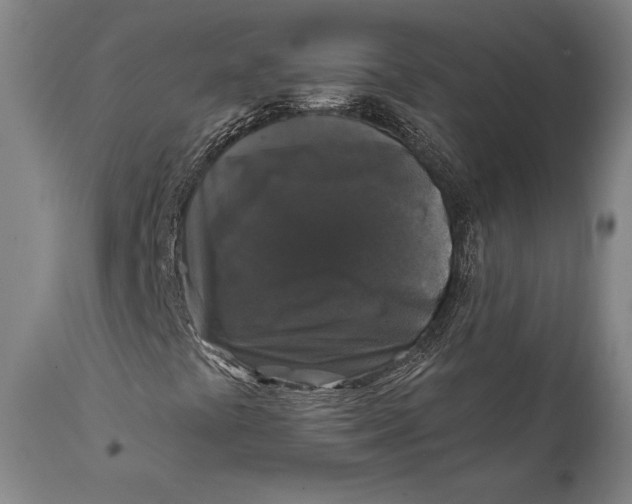 X0000111581441200908061314