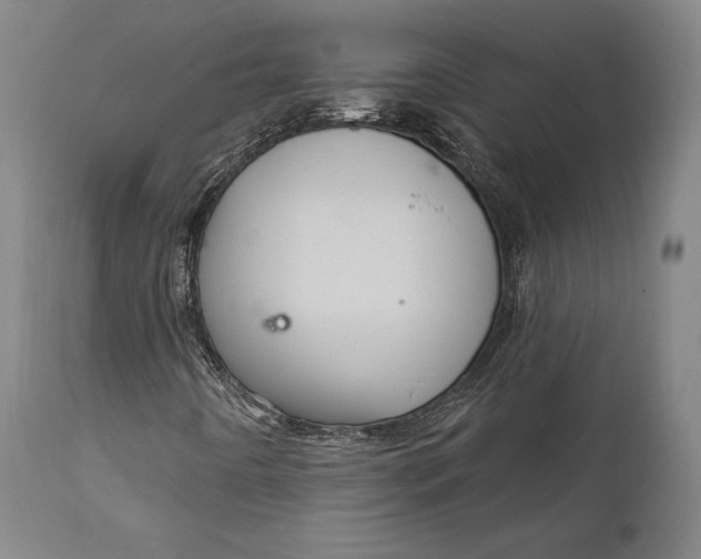 X0000111581442200908061314