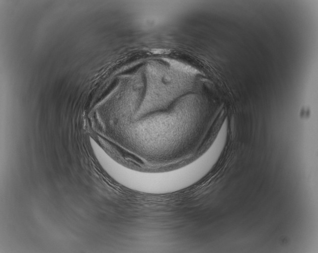 X0000111581443200908061314