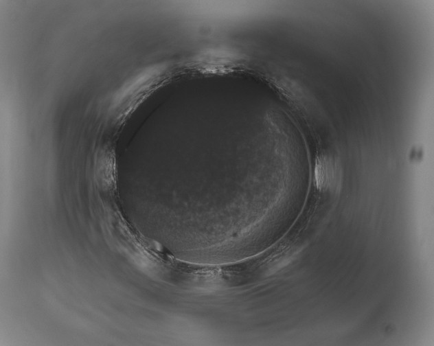 X0000111581444200908061314