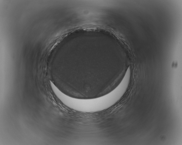 X0000111581445200908061314