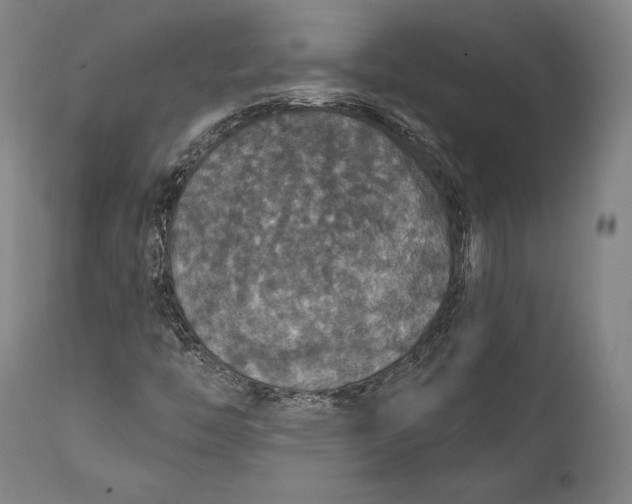 X0000111581446200908061314