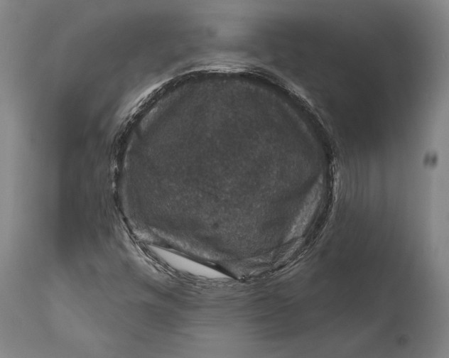 X0000111581448200908061314