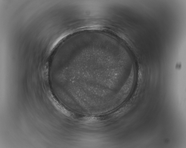 X0000111581450200908061314