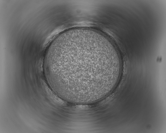 X0000111581451200908061314