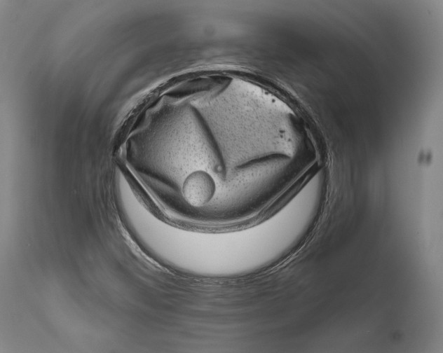 X0000111581452200908061314