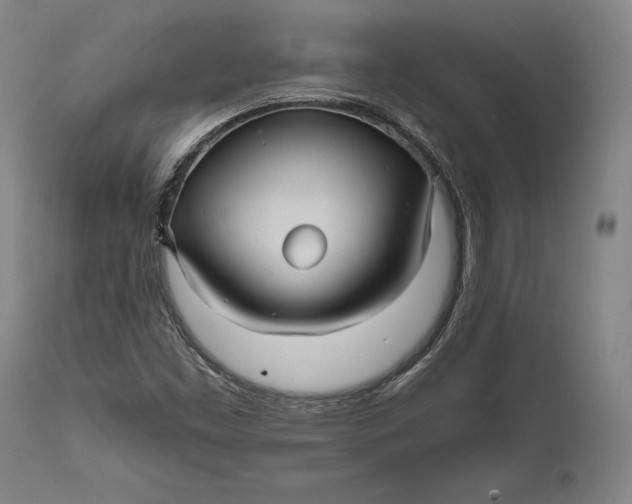 X0000111581453200908061314