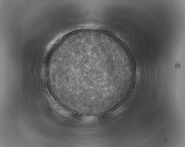 X0000111581454200908061313