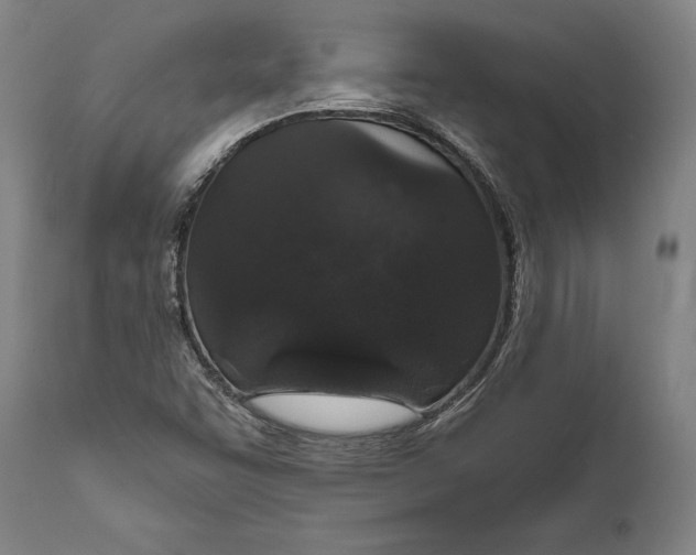 X0000111581455200908061313