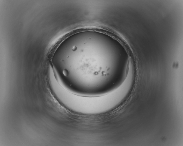 X0000111581456200908061313