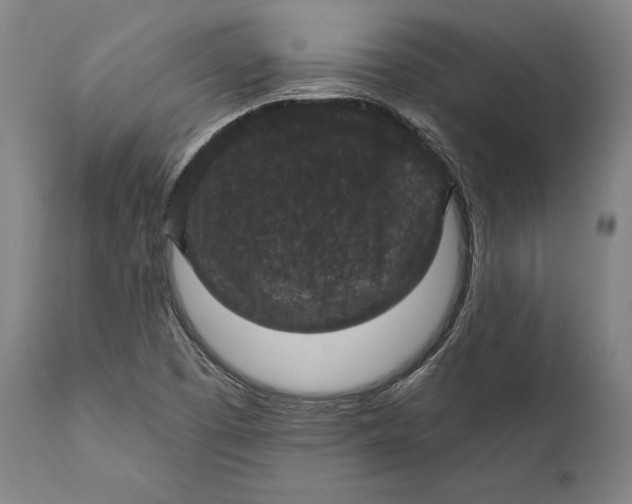 X0000111581457200908061313