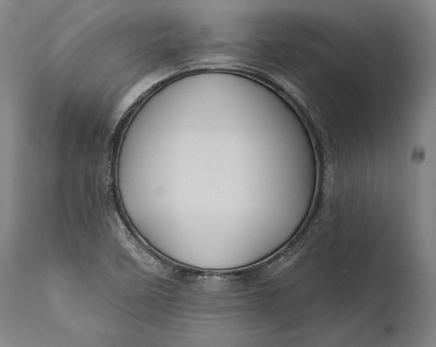 X0000111581458200908061313