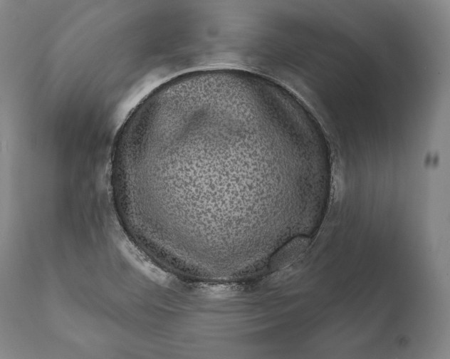 X0000111581460200908061313