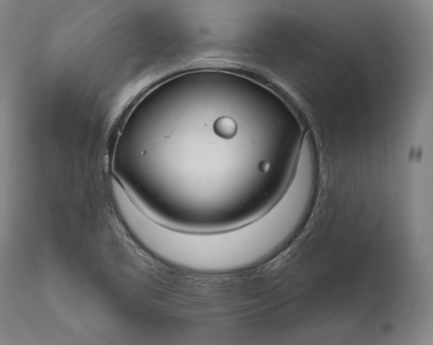 X0000111581461200908061313