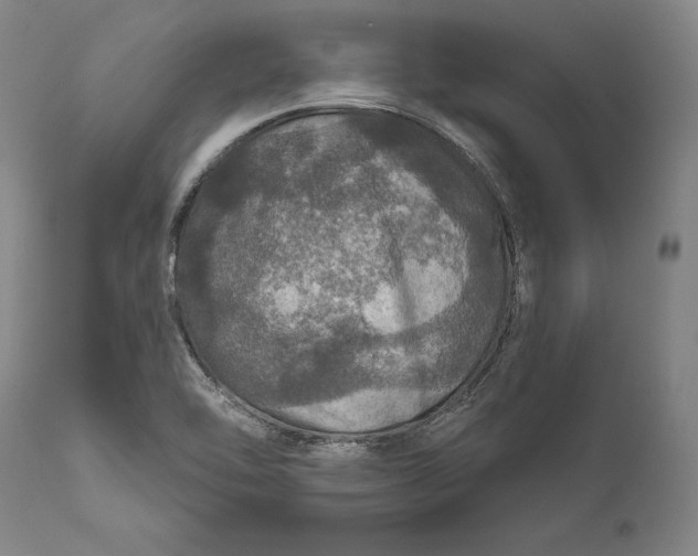 X0000111581462200908061313