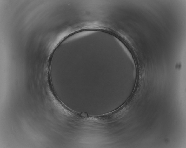 X0000111581463200908061313