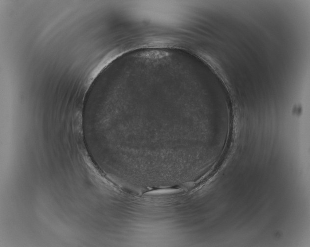 X0000111581465200908061313