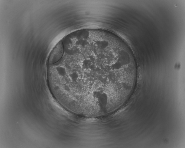 X0000111581467200908061313