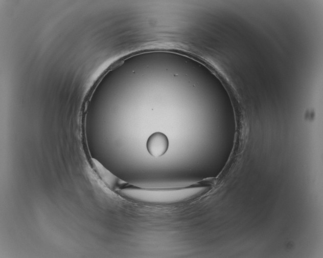 X0000111581468200908061313