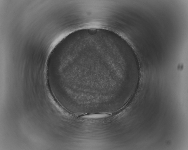 X0000111581469200908061313