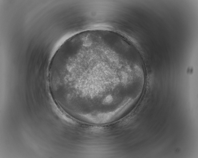 X0000111581470200908061313