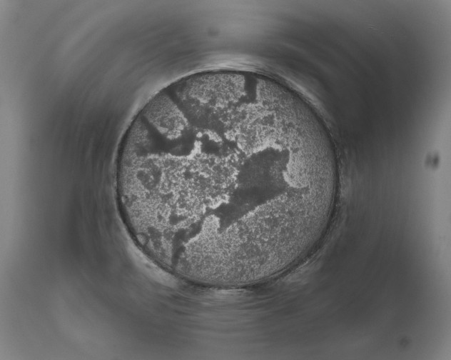 X0000111581471200908061313