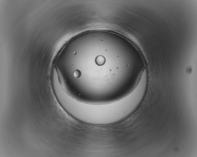 X0000111581472200908061313