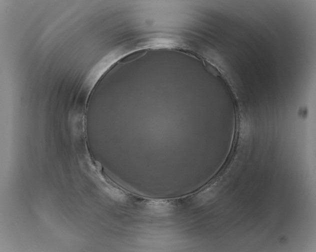 X0000111581473200908061313