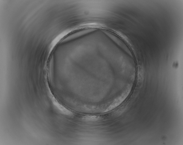 X0000111581474200908061313