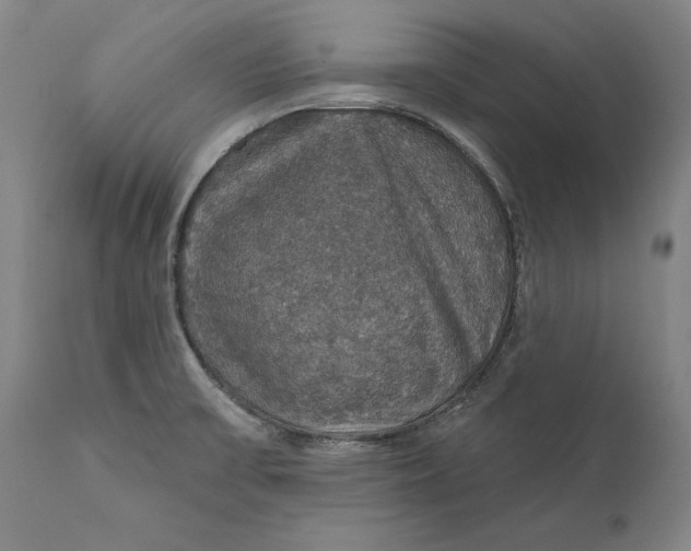 X0000111581475200908061313