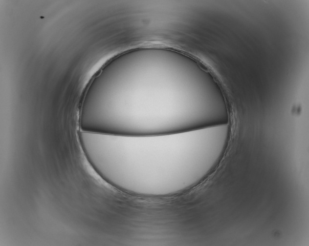 X0000111581476200908061313