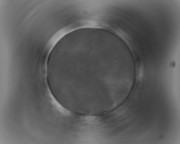 X0000111581479200908061313