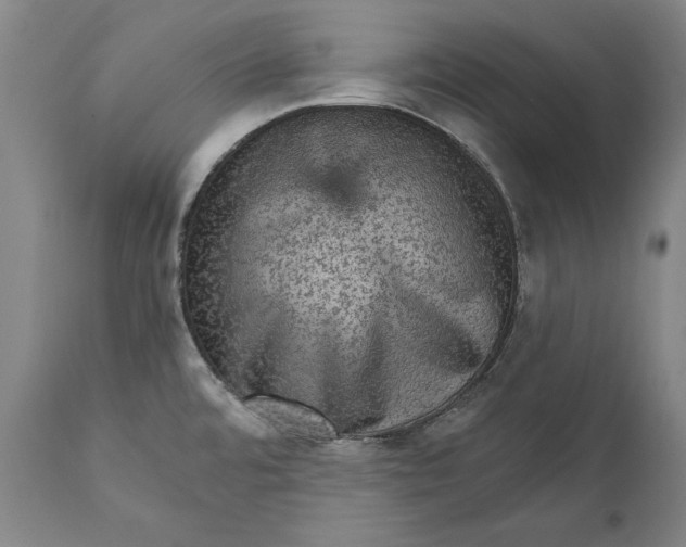 X0000111581480200908061313