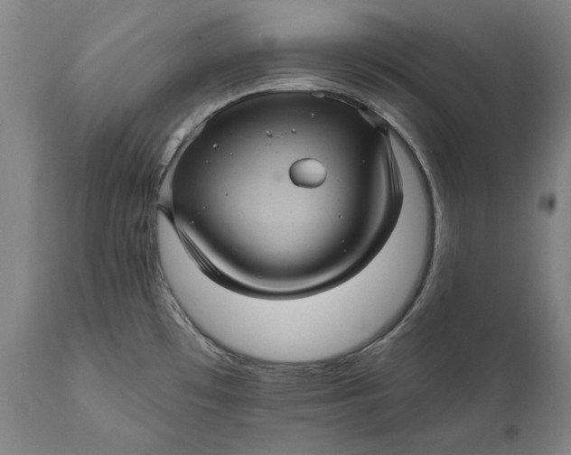 X0000111581481200908061313