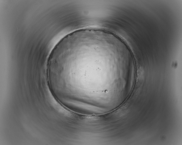 X0000111581483200908061313