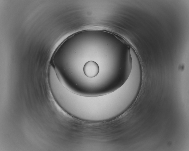 X0000111581484200908061313