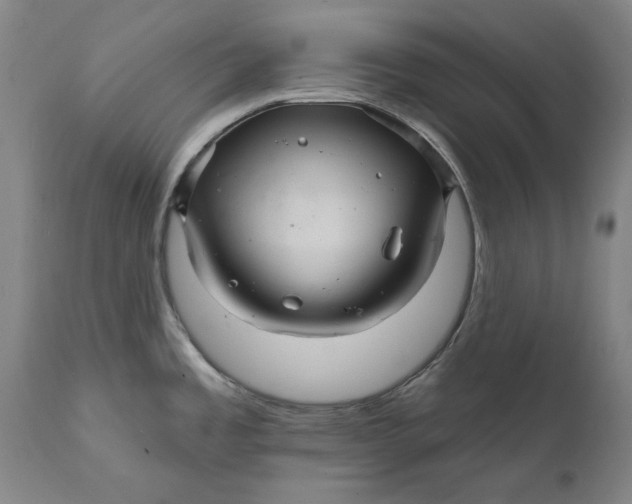 X0000111581485200908061313