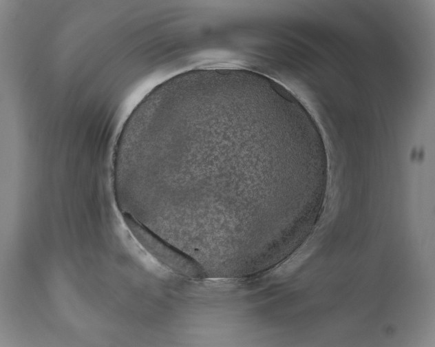 X0000111581488200908061313