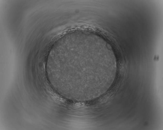 X0000111581489200908061312