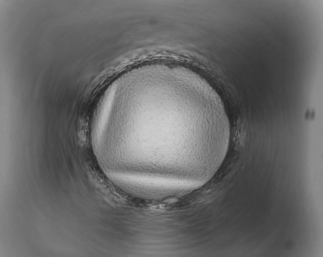 X0000111581490200908061312