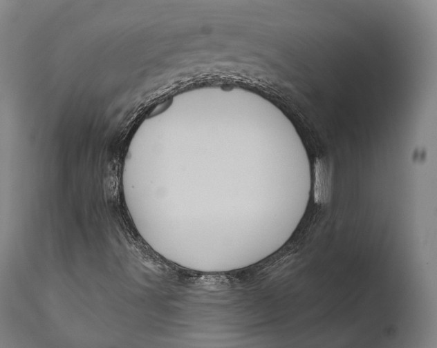 X0000111581491200908061312