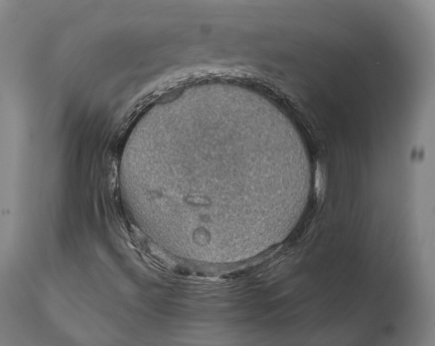 X0000111581492200908061312