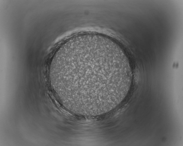 X0000111581494200908061312