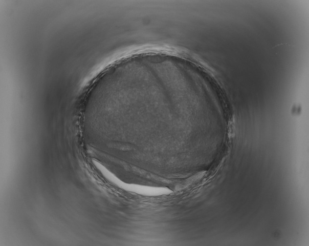 X0000111581496200908061312