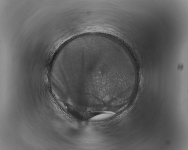 X0000111581497200908061312