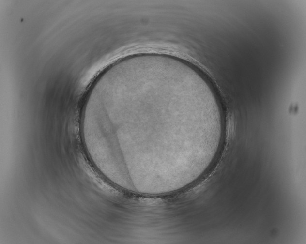 X0000111581498200908061312