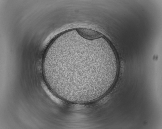 X0000111581499200908061312