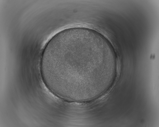 X0000111581500200908061312